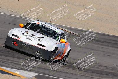 media/Oct-14-2023-Lucky Dog Racing (Sat) [[cef75db616]]/Turn 12 Exit-Bowl Backside (230pm)/